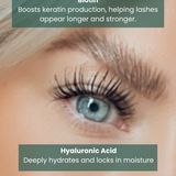Eyelash Growth Serum