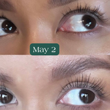 Eyelash Growth Serum